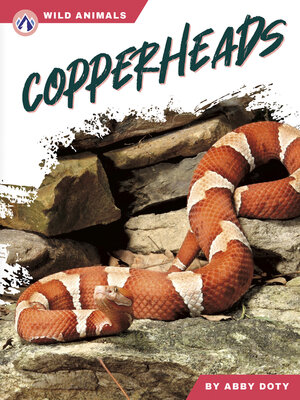 cover image of Copperheads